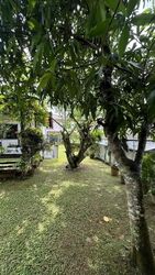 Cashew Road (D23), Detached #614429901